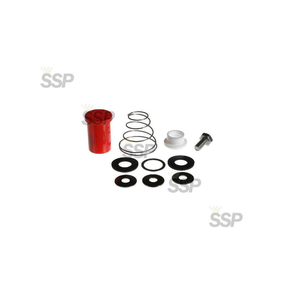 Motor shaft seal KIT